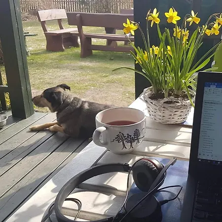 Z Jacuzzi كوبالينو