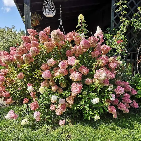 Z Jacuzzi بيت للعطل