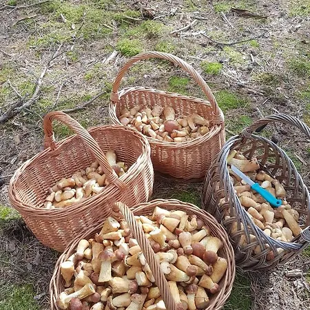 Z Jacuzzi بيت للعطل *