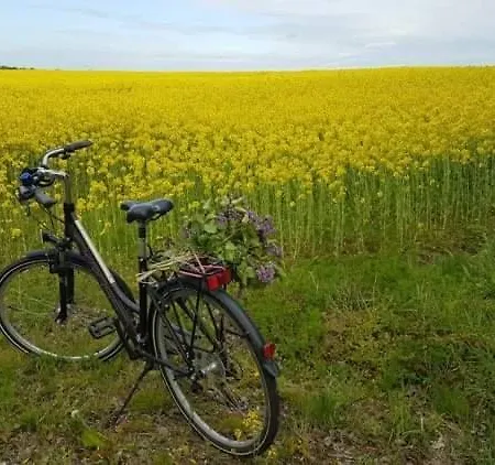 بيت للعطل Z Jacuzzi كوبالينو