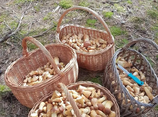 Z Jacuzzi Semesterbostad *