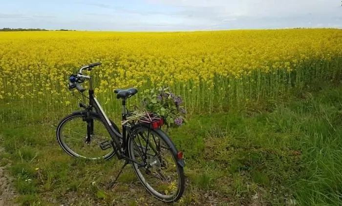 Semesterbostad Z Jacuzzi Kopalino